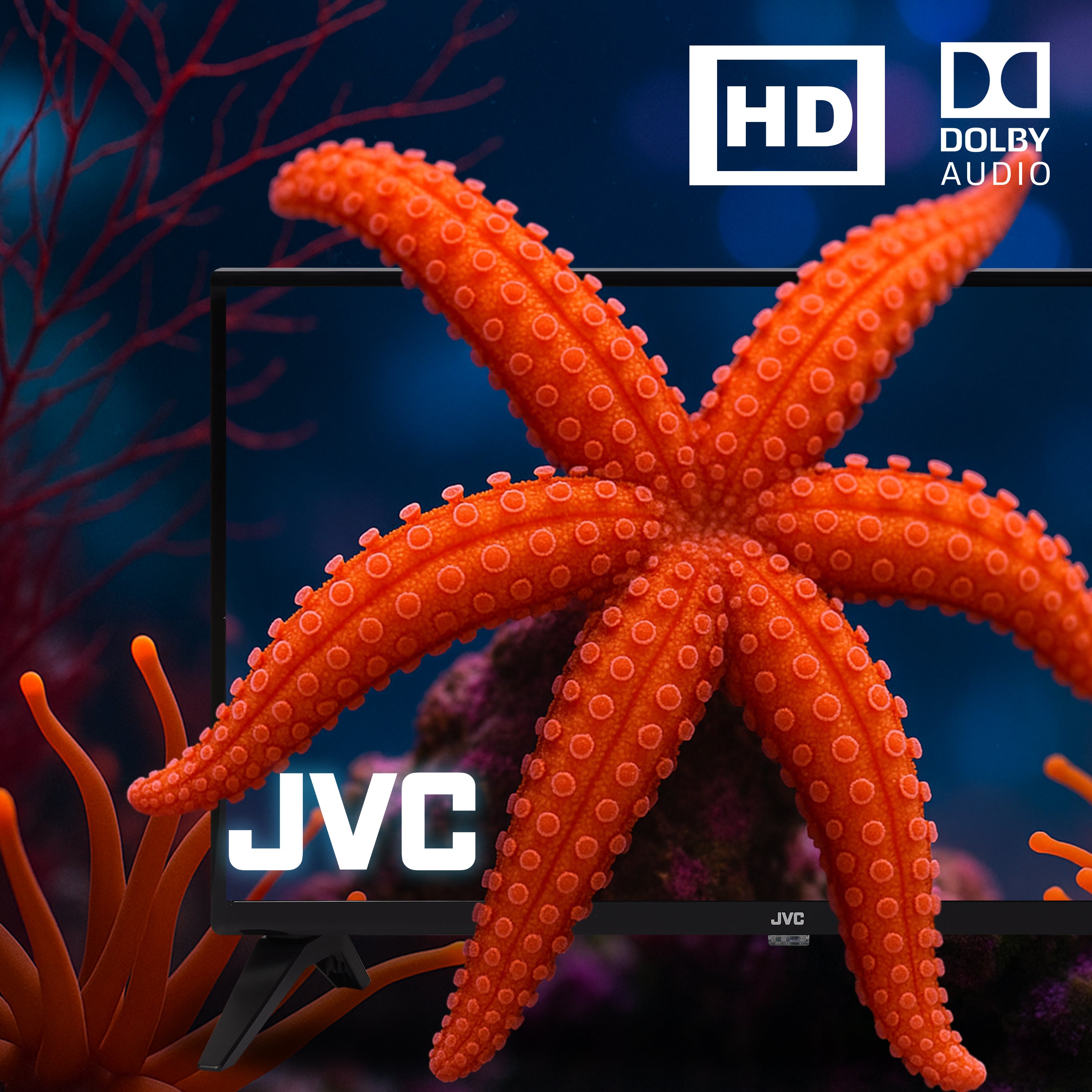 Pantalla JVC 32 (Caja dañada)